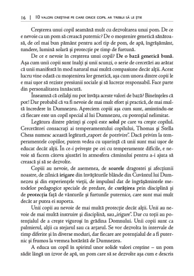 10 valori crestine int3