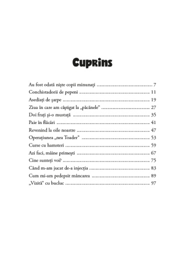 amintiri din copilarii cuprins