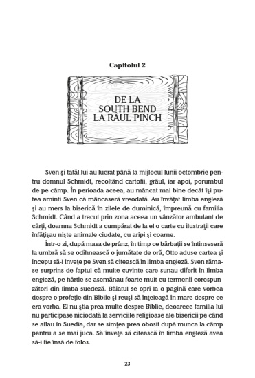 baiatul din padurile de pini int1