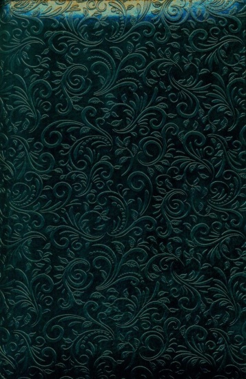biblia-verde-056-zti-spate-600x923