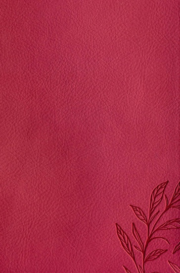 biblia pentru femei roz c4