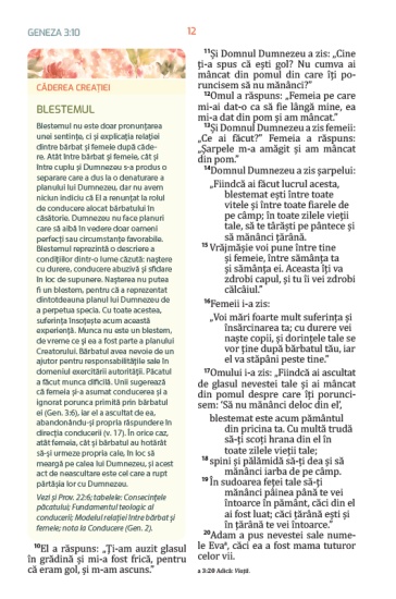 biblia pentru femei roz int2