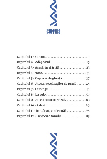 cappy chira arctica cup