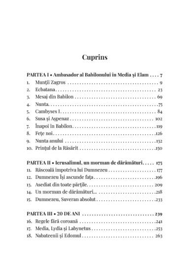 daniel_vol_6_ambasador_al_cerului_cup1