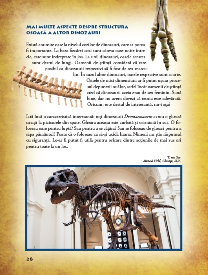 dinozaurii int2