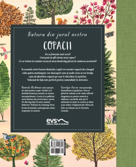 natura din jurul nostru copacii c4