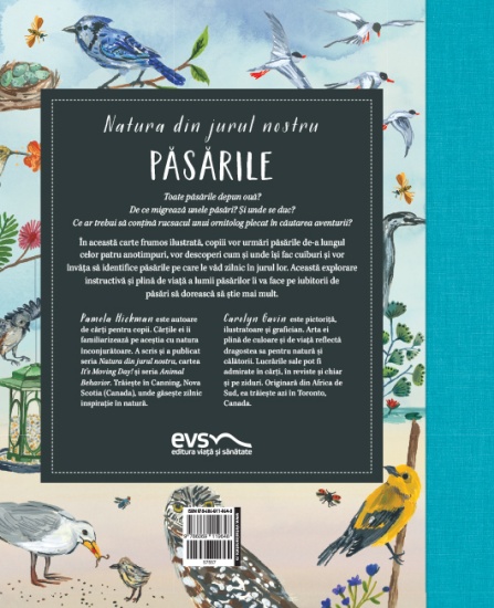 natura din jurul nostru pasarile c4