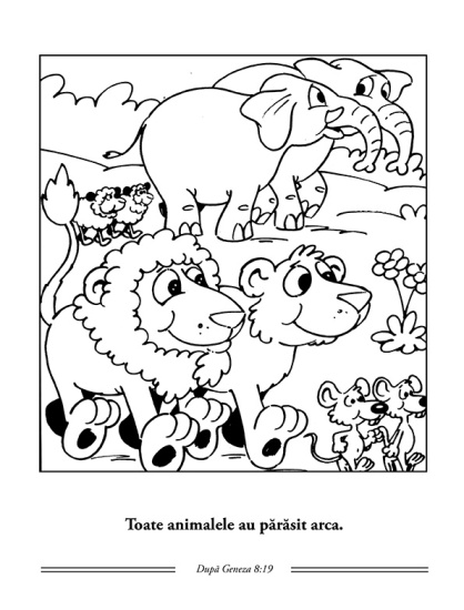 p 29