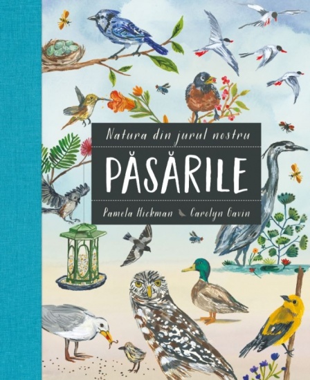 pasarile