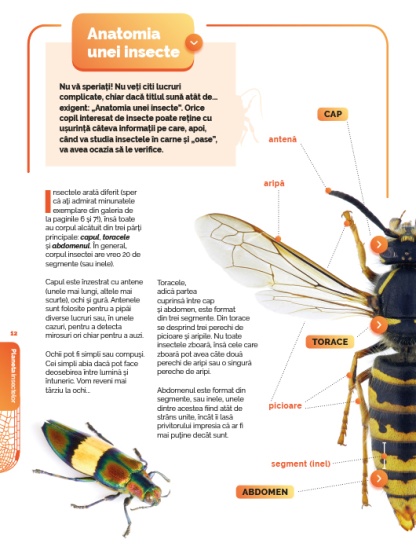 planeta insectelor int1