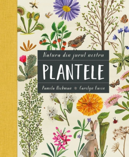 plantele
