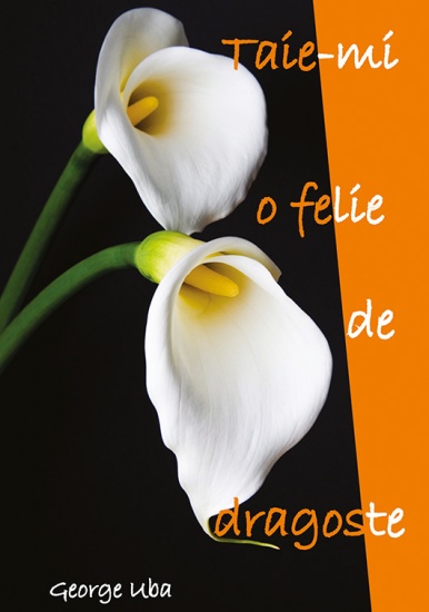 taie-mi o felie de dragoste c1