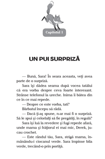 tina vulpita poznasa int1