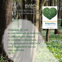 1586951442-evs