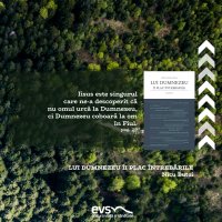 1602682914-evs