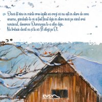 1611235426-evs
