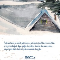 1611235711-evs