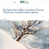 1611235783-evs