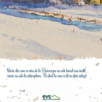 1611235806-evs
