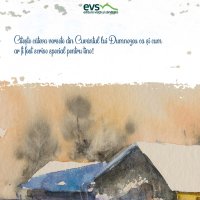 1611235828-evs