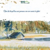 1611235891-evs