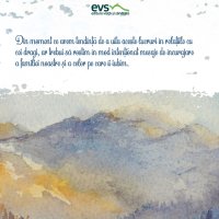 1611235940-evs