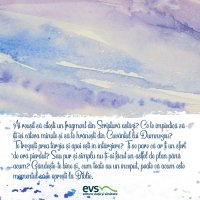 1611235968-evs