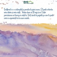 1611235997-evs