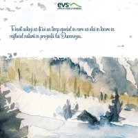 1611236043-evs