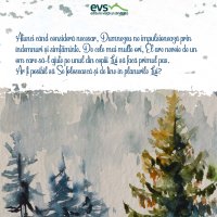 1611236085-evs