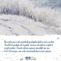 1611236108-evs