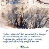 1611236160-evs