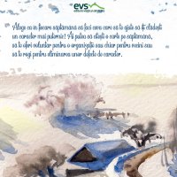 1611236185-evs