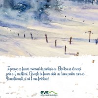 1611236208-evs