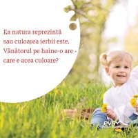 1582099267-evs