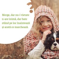 1582099301-evs