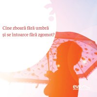 1582099356-evs