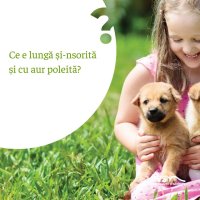 1582099553-evs