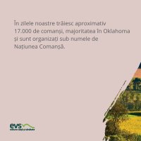 1582103377-evs