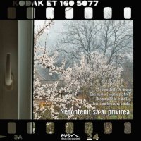 1589282195-evs