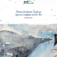 1611233089-evs