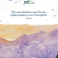 1611233564-evs
