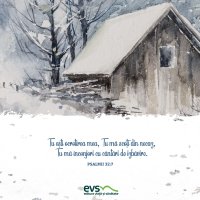 1611233819-evs