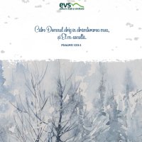 1611233875-evs
