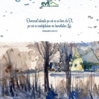 1611233973-evs