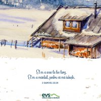 1611234022-evs