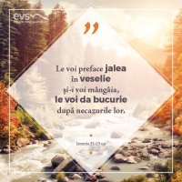 1537769053-evs