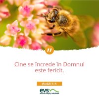 1537856319-evs