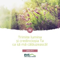 1537856443-evs