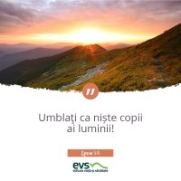 1537856585-evs